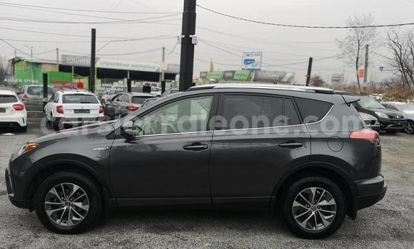 Buy Used Toyota RAV4 Other Car in Baiima in Bo Buy Used Toyota RAV4 Other Car in Baiima in Bo