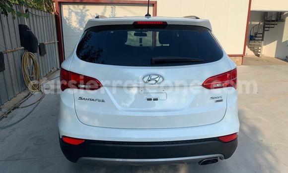 Buy Used Hyundai Santa Fe Other Car in Baiima in Bo Buy Used Hyundai Santa Fe Other Car in Baiima in Bo