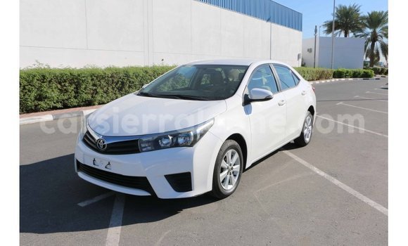 Buy Import Toyota Corolla White Car in Import - Dubai in Kailahun Buy Import Toyota Corolla White Car in Import - Dubai in Kailahun