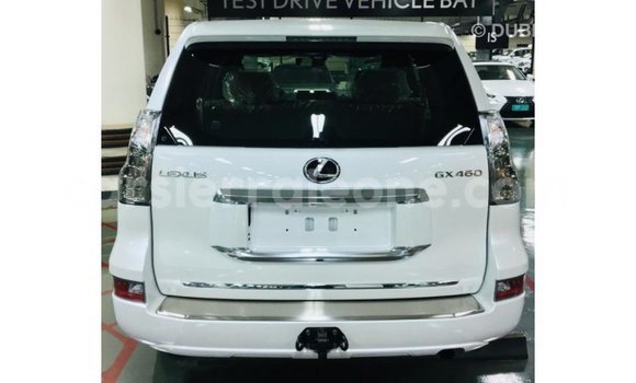 Buy Import Lexus GX White Car in Import - Dubai in Kailahun Buy Import Lexus GX White Car in Import - Dubai in Kailahun