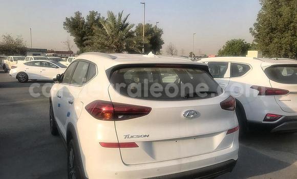 Acheter Neuf Voiture Hyundai Tucson Blanc à Import - Dubai, Kailahun Acheter Neuf Voiture Hyundai Tucson Blanc à Import - Dubai, Kailahun