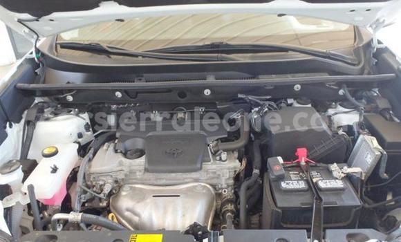 Buy Used Toyota RAV4 White Car in Freetown in Western Urban Buy Used Toyota RAV4 White Car in Freetown in Western Urban