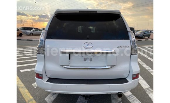 Buy Import Lexus GX White Car in Import - Dubai in Kailahun Buy Import Lexus GX White Car in Import - Dubai in Kailahun