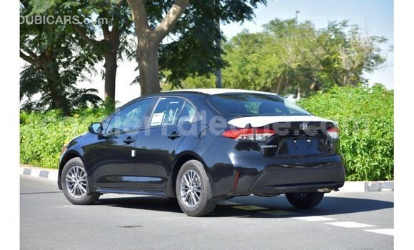 Buy Import Toyota Corolla Black Car in Import - Dubai in Kailahun Buy Import Toyota Corolla Black Car in Import - Dubai in Kailahun