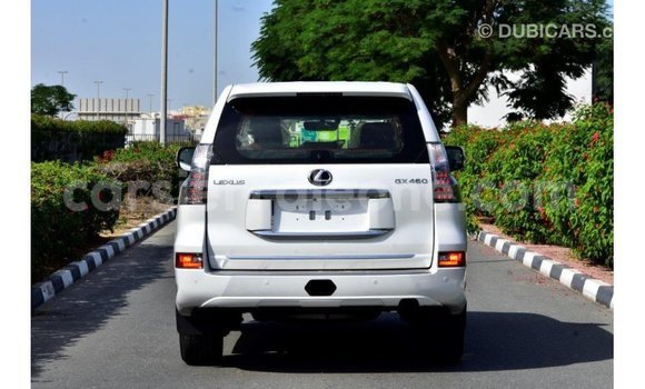 Buy Import Lexus GX White Car in Import - Dubai in Kailahun Buy Import Lexus GX White Car in Import - Dubai in Kailahun