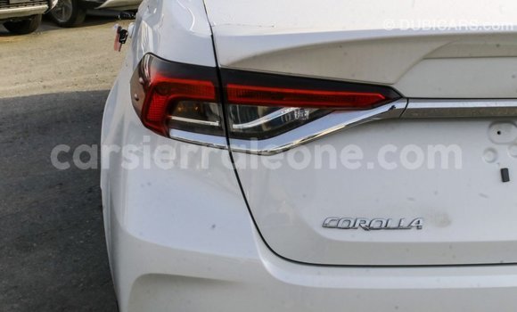 Buy Import Toyota Corolla White Car in Import - Dubai in Kailahun Buy Import Toyota Corolla White Car in Import - Dubai in Kailahun