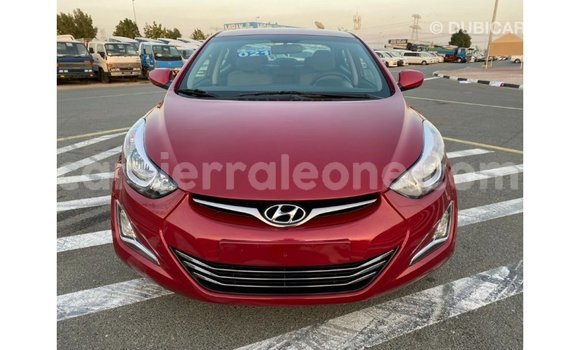 Buy Import Hyundai Elantra Red Car in Import - Dubai in Kailahun Buy Import Hyundai Elantra Red Car in Import - Dubai in Kailahun