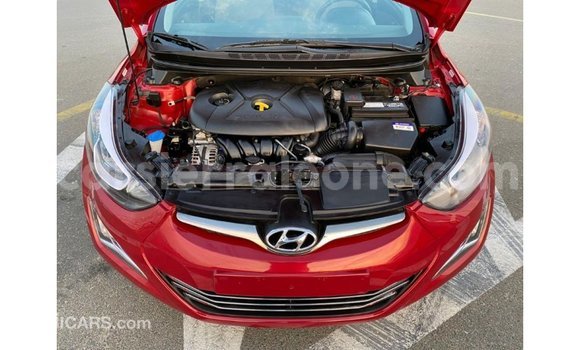 Buy Import Hyundai Elantra Red Car in Import - Dubai in Kailahun Buy Import Hyundai Elantra Red Car in Import - Dubai in Kailahun