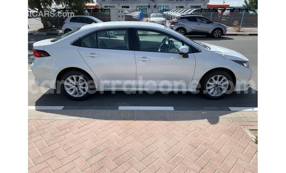 Buy Import Toyota Corolla White Car in Import - Dubai in Kailahun Buy Import Toyota Corolla White Car in Import - Dubai in Kailahun