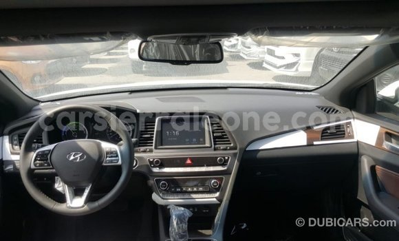 Buy Import Hyundai Sonata White Car in Import - Dubai in Kailahun Buy Import Hyundai Sonata White Car in Import - Dubai in Kailahun