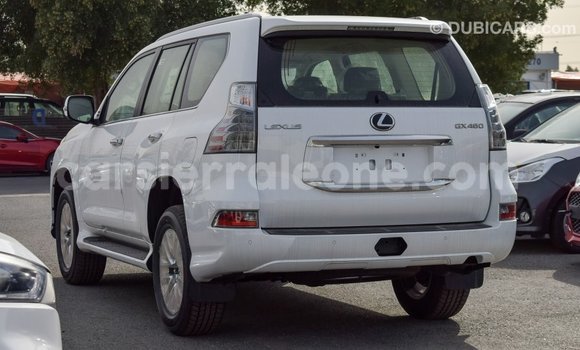 Buy Import Lexus GX White Car in Import - Dubai in Kailahun Buy Import Lexus GX White Car in Import - Dubai in Kailahun