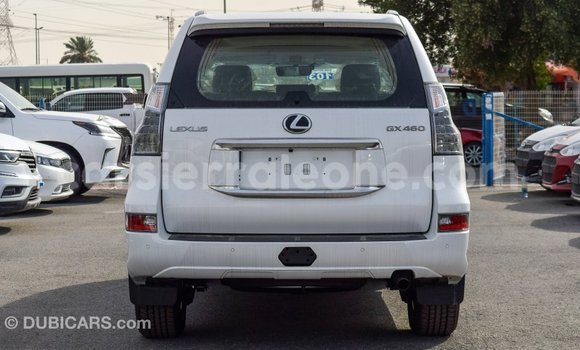 Buy Import Lexus GX White Car in Import - Dubai in Kailahun Buy Import Lexus GX White Car in Import - Dubai in Kailahun