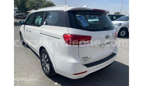 Acheter Import Voiture Kia Carnival Blanc à Import - Dubai, Kailahun Acheter Import Voiture Kia Carnival Blanc à Import - Dubai, Kailahun