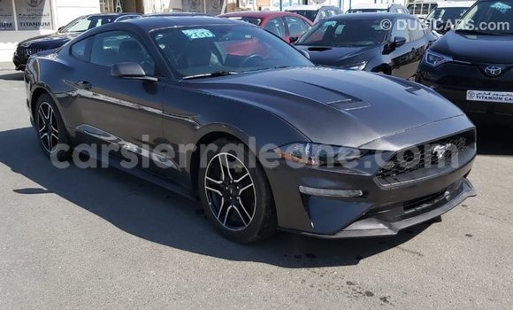 Buy Import Ford Mustang Other Car in Import - Dubai in Kailahun Buy Import Ford Mustang Other Car in Import - Dubai in Kailahun