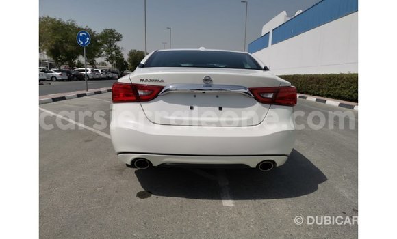 Acheter Import Voiture Nissan Maxima Blanc à Import - Dubai, Kailahun Acheter Import Voiture Nissan Maxima Blanc à Import - Dubai, Kailahun