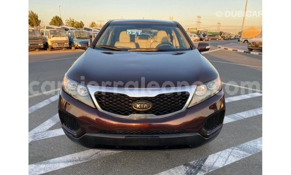 Buy Import Kia Sorento Brown Car in Import - Dubai in Kailahun Buy Import Kia Sorento Brown Car in Import - Dubai in Kailahun
