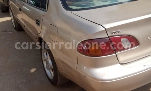 Buy Used Toyota Corolla Beige Car in Freetown in Western Urban Buy Used Toyota Corolla Beige Car in Freetown in Western Urban