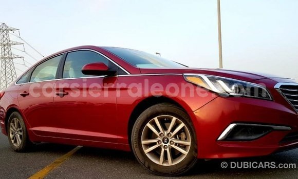 Buy Import Hyundai Sonata Red Car in Import - Dubai in Kailahun Buy Import Hyundai Sonata Red Car in Import - Dubai in Kailahun