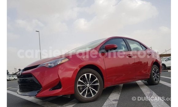 Buy Import Toyota Corolla Red Car in Import - Dubai in Kailahun Buy Import Toyota Corolla Red Car in Import - Dubai in Kailahun