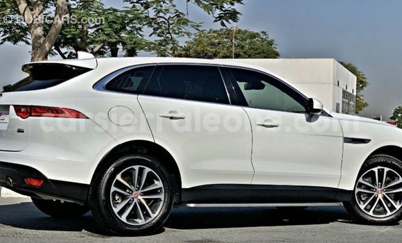Buy Import Jaguar F-Pace White Car in Import - Dubai in Kailahun Buy Import Jaguar F-Pace White Car in Import - Dubai in Kailahun