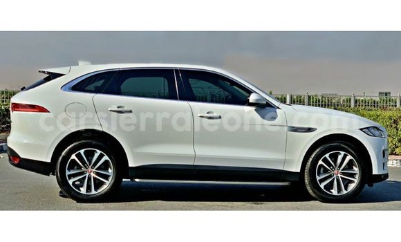 Buy Import Jaguar F-Pace White Car in Import - Dubai in Kailahun Buy Import Jaguar F-Pace White Car in Import - Dubai in Kailahun
