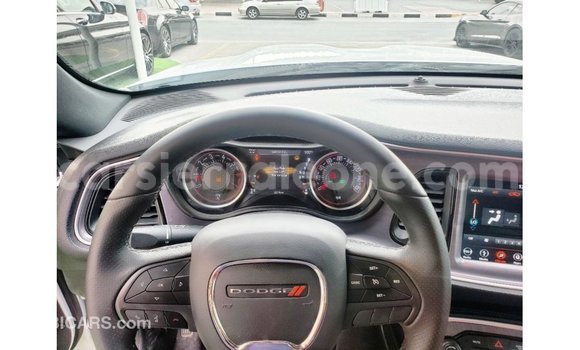Buy Import Dodge Challenger White Car in Import - Dubai in Kailahun Buy Import Dodge Challenger White Car in Import - Dubai in Kailahun