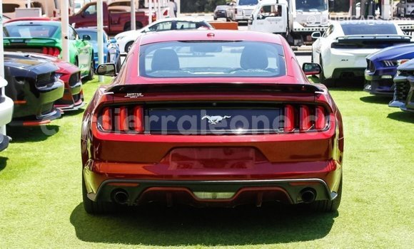 Buy Import Ford Mustang Red Car in Import - Dubai in Kailahun Buy Import Ford Mustang Red Car in Import - Dubai in Kailahun
