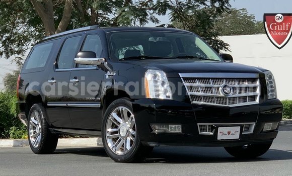 Buy Import Cadillac Escalade Black Car in Import - Dubai in Kailahun