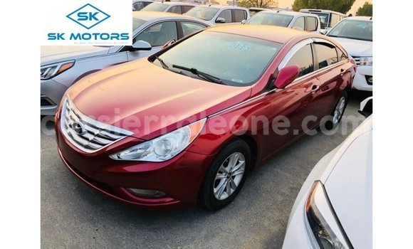 Buy Import Hyundai Sonata Red Car in Import - Dubai in Kailahun