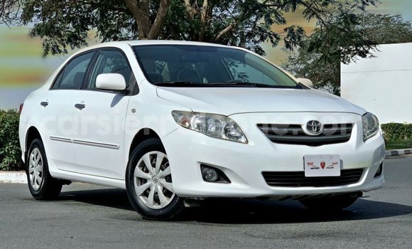 Buy Import Toyota Corolla White Car in Import - Dubai in Kailahun