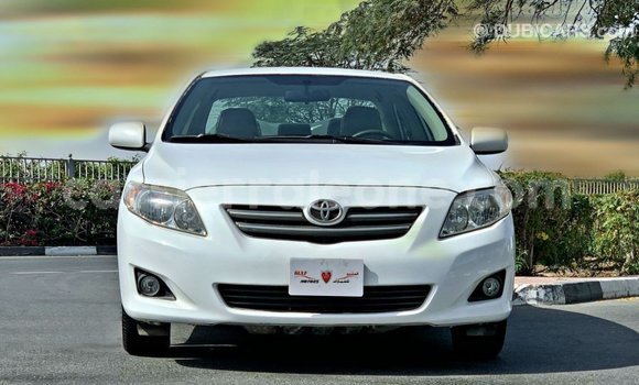 Buy Import Toyota Corolla White Car in Import - Dubai in Kailahun Buy Import Toyota Corolla White Car in Import - Dubai in Kailahun