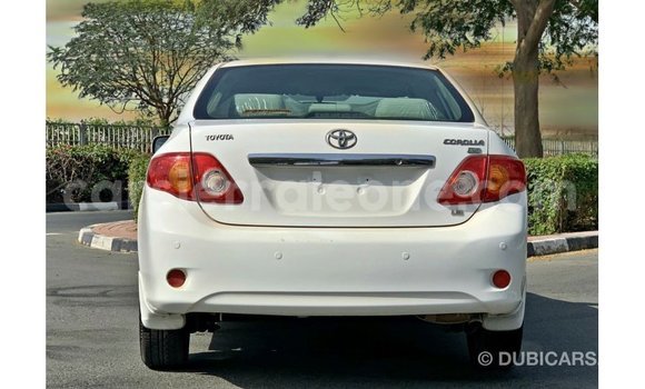 Buy Import Toyota Corolla White Car in Import - Dubai in Kailahun Buy Import Toyota Corolla White Car in Import - Dubai in Kailahun