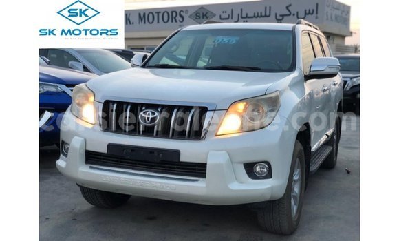 Buy Import Toyota Prado White Car in Import - Dubai in Kailahun