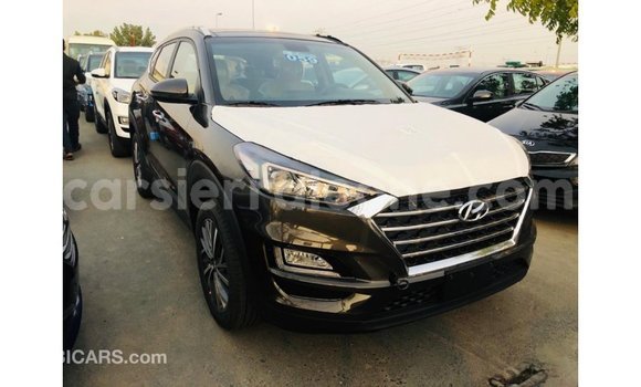 Buy Import Hyundai Tucson Brown Car in Import - Dubai in Kailahun Buy Import Hyundai Tucson Brown Car in Import - Dubai in Kailahun