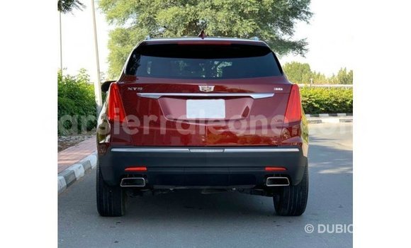 Buy Import Cadillac XT5 Red Car in Import - Dubai in Kailahun Buy Import Cadillac XT5 Red Car in Import - Dubai in Kailahun