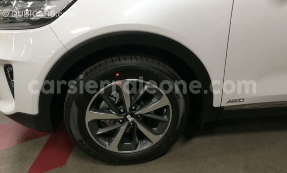 Buy Import Kia Sorento White Car in Import - Dubai in Kailahun Buy Import Kia Sorento White Car in Import - Dubai in Kailahun