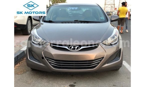 Buy Import Hyundai Elantra Brown Car in Import - Dubai in Kailahun