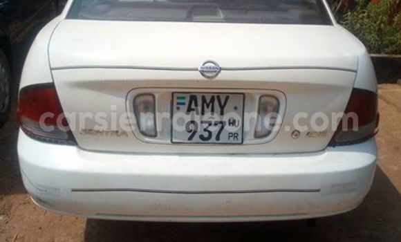 Buy Used Nissan Sentra White Car in Freetown in Western Urban Buy Used Nissan Sentra White Car in Freetown in Western Urban