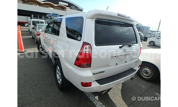 Buy Import Toyota Hilux White Car in Import - Dubai in Kailahun Buy Import Toyota Hilux White Car in Import - Dubai in Kailahun