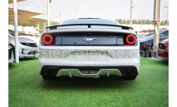 Acheter Import Voiture Ford Mustang Blanc à Import - Dubai, Kailahun Acheter Import Voiture Ford Mustang Blanc à Import - Dubai, Kailahun