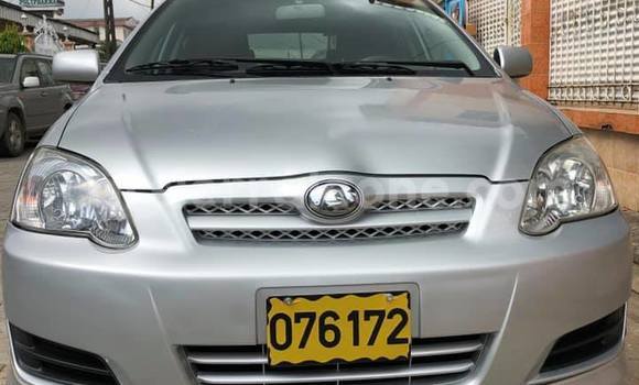 Buy Used Toyota Runx Beige Car in Freetown in Western Urban Buy Used Toyota Runx Beige Car in Freetown in Western Urban
