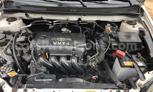 Buy Used Toyota Runx Beige Car in Freetown in Western Urban Buy Used Toyota Runx Beige Car in Freetown in Western Urban