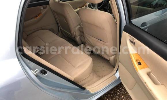 Buy Used Toyota Runx Blue Car in Freetown in Western Urban Buy Used Toyota Runx Blue Car in Freetown in Western Urban