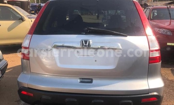 Buy Used Honda CR–V Silver Car in Freetown in Western Urban Buy Used Honda CR–V Silver Car in Freetown in Western Urban