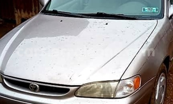 Buy Used Toyota Corolla Beige Car in Freetown in Western Urban