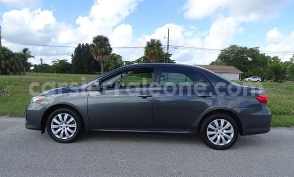 Buy Used Toyota Corolla Other Car in Yamandu in Kono Buy Used Toyota Corolla Other Car in Yamandu in Kono