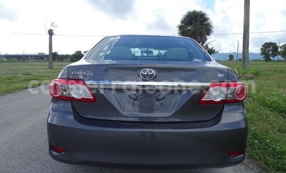 Buy Used Toyota Corolla Other Car in Yamandu in Kono Buy Used Toyota Corolla Other Car in Yamandu in Kono