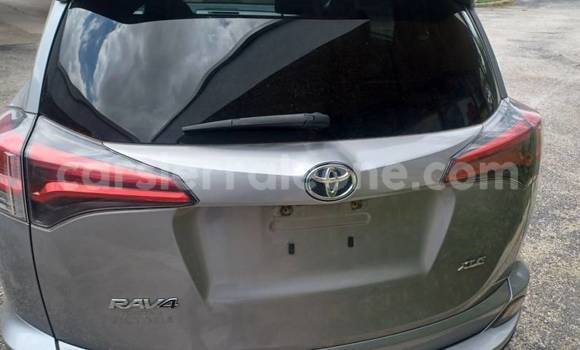 Buy Import Toyota RAV4 Silver Car in Blama in Kenema Buy Import Toyota RAV4 Silver Car in Blama in Kenema