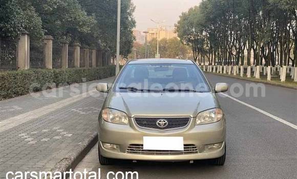 Buy Used Toyota Vios Silver Car in Baiima in Bo Buy Used Toyota Vios Silver Car in Baiima in Bo