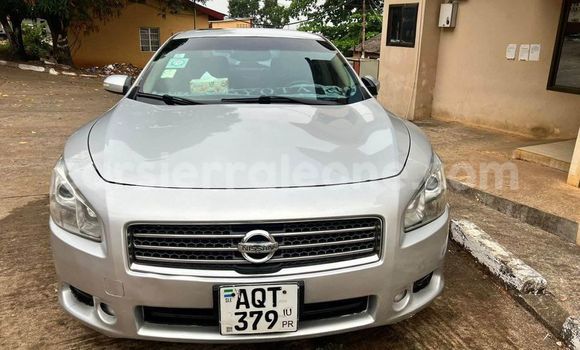 Buy Used Nissan Maxima Other Car in Freetown in Western Urban Buy Used Nissan Maxima Other Car in Freetown in Western Urban